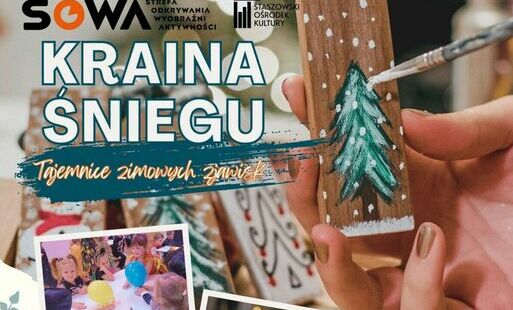 Zdjęcie do Strefa SOWA zaprasza na zimową przygodę z nauką