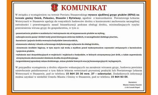 Grafika: KOMUNIKAT: Ptasia grypa