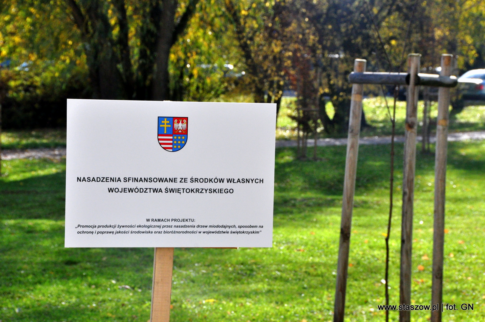 Tabliczka informująca, że nasadzenia zostały sfinansowane ze środków własnych Województwa Świętokrzyskiego