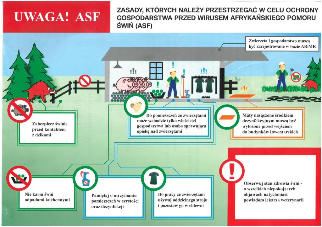 Grafika informacyjna: Zasady, których należy przestrzegać w celu ochrony gospodarstwa przed wirusem Afrykańskiego Pomoru Świń.